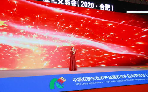2020宁国黄花云尖品牌推介会 合肥 圆满举行