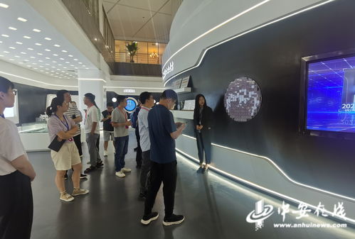晶合集成 芯 光灿烂